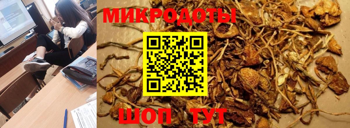 Галлюциногенные грибы GOLDEN TEACHER Добрянка