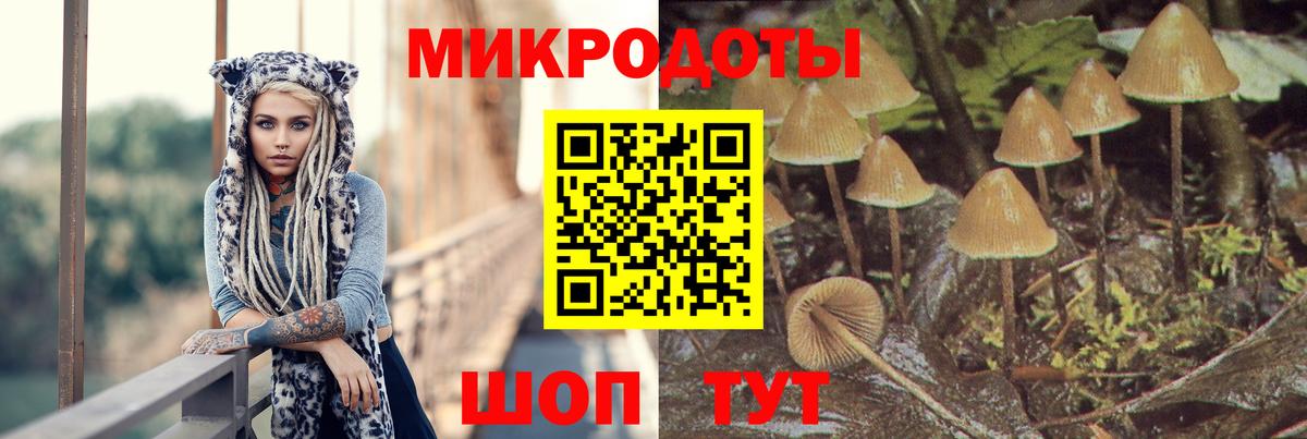 Галлюциногенные грибы MAGIC MUSHROOMS  Вход с VPN  Добрянка 